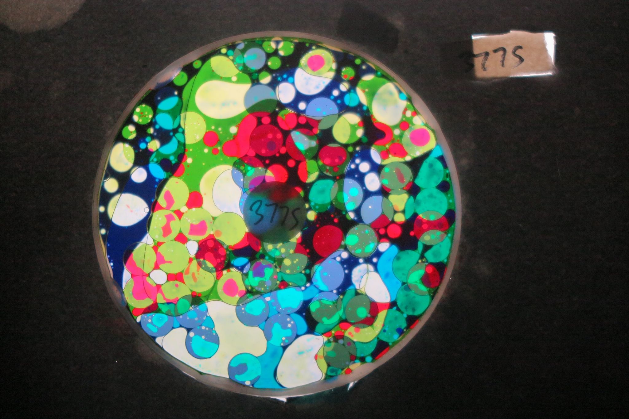 BV3775 bubble vision oil wheel